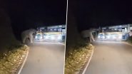 Viral Video: रात में हाईवे से गुजर रही थी बस, अचानक सामने आ गया हाथी फिर जो हुआ... आप भी देखें